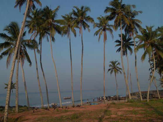 Oceanic Beach Residency Varkala Esterno foto