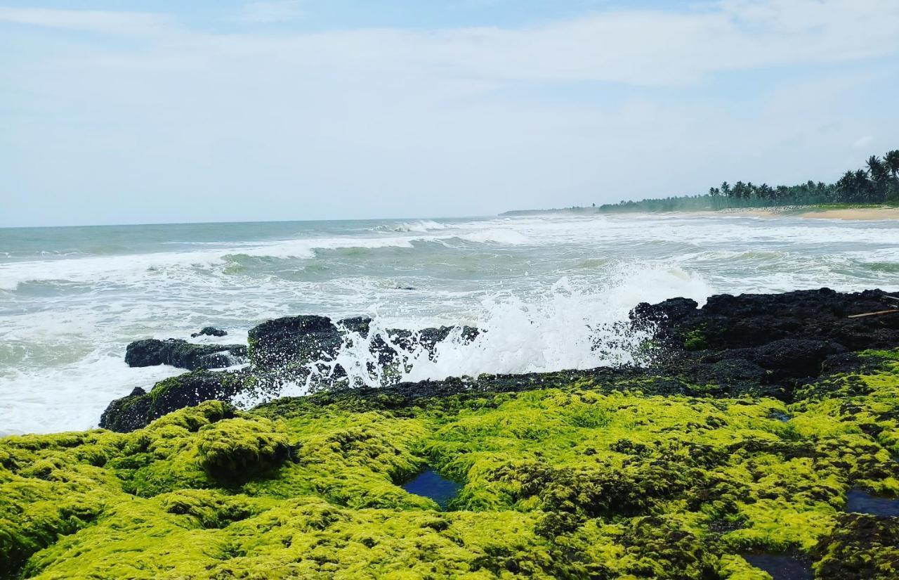 Oceanic Beach Residency Varkala Esterno foto